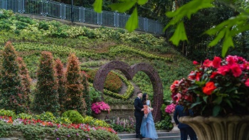 香港公園婚姻登記處外的園景區設有大型心形花壇，供新人及其親友拍照留念。